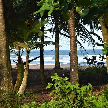 Hotel Pura Natura Beachfront Tortuguero Dış mekan fotoğraf