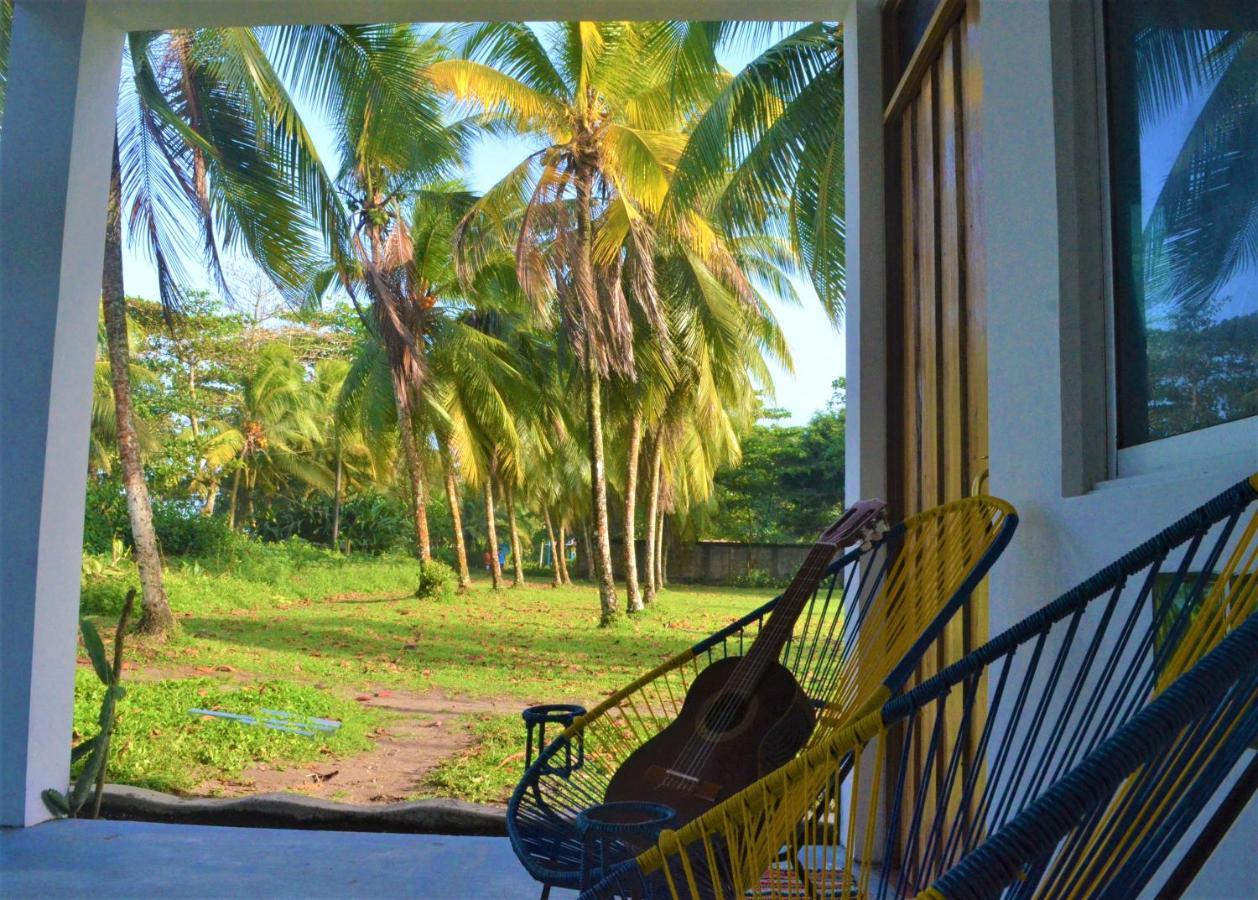 Hotel Pura Natura Beachfront Tortuguero Dış mekan fotoğraf