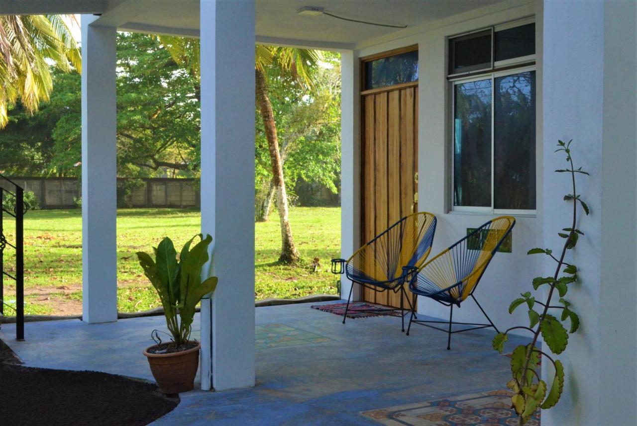 Hotel Pura Natura Beachfront Tortuguero Dış mekan fotoğraf