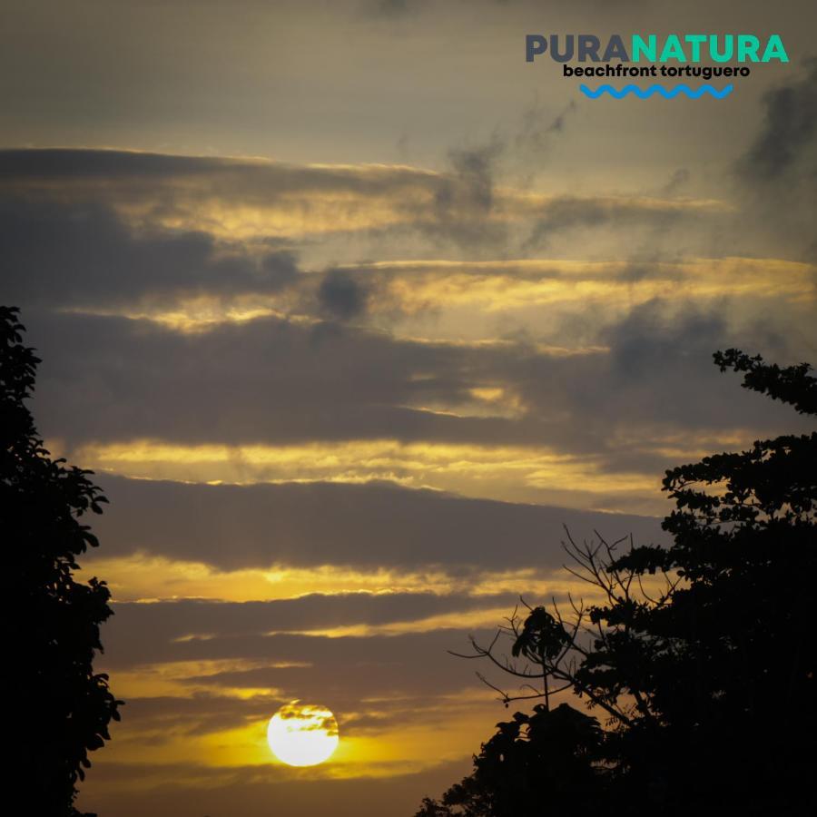 Hotel Pura Natura Beachfront Tortuguero Dış mekan fotoğraf