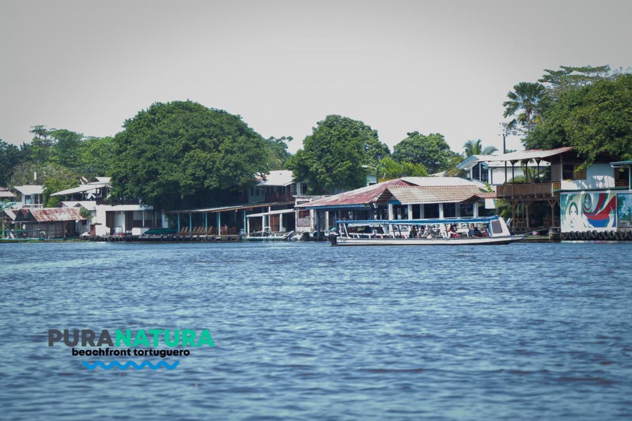 Hotel Pura Natura Beachfront Tortuguero Dış mekan fotoğraf