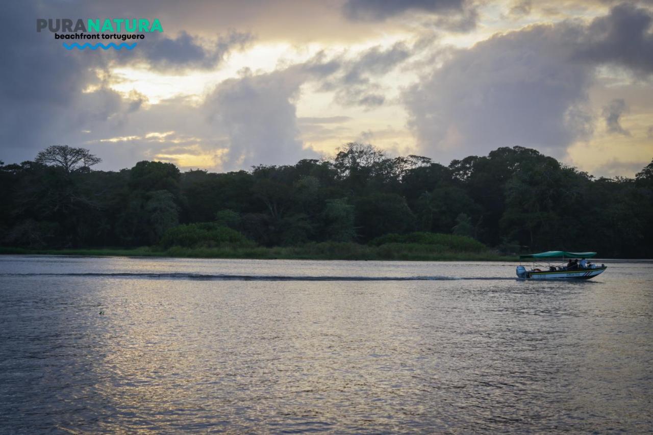 Hotel Pura Natura Beachfront Tortuguero Dış mekan fotoğraf