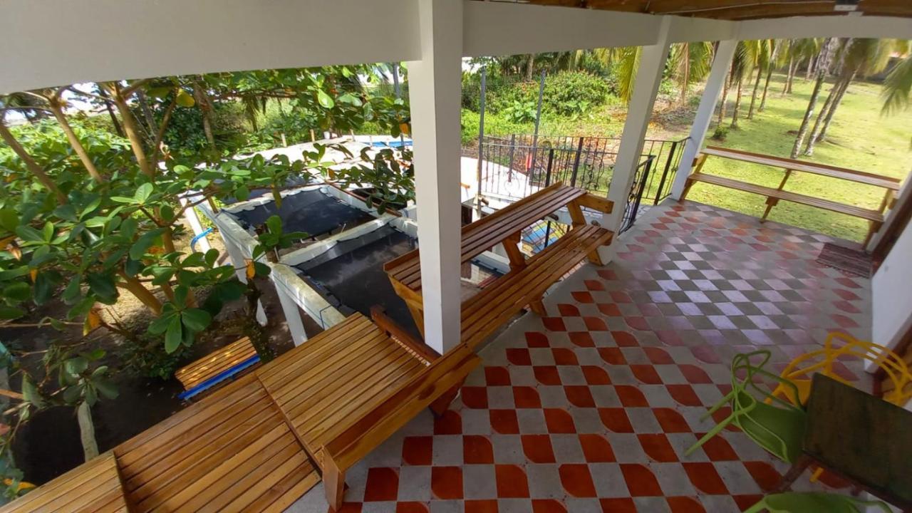 Hotel Pura Natura Beachfront Tortuguero Dış mekan fotoğraf