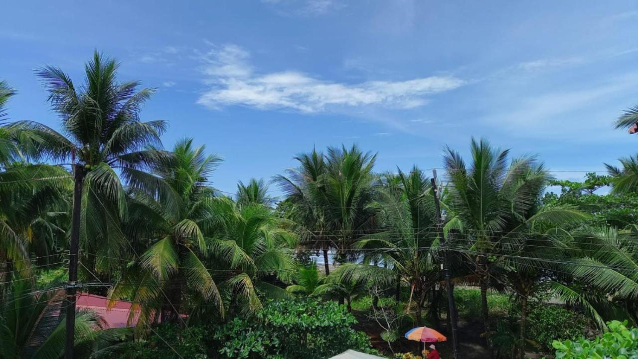 Hotel Pura Natura Beachfront Tortuguero Dış mekan fotoğraf