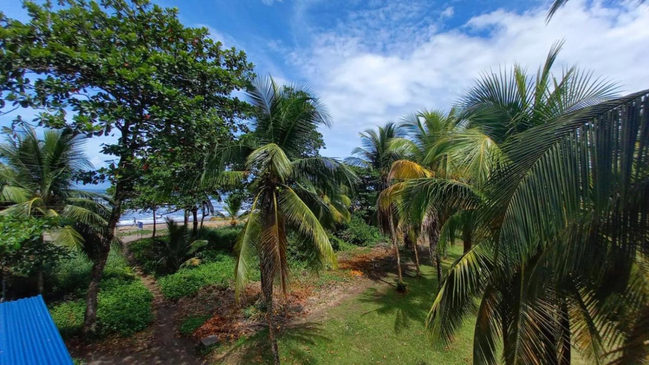 Hotel Pura Natura Beachfront Tortuguero Dış mekan fotoğraf